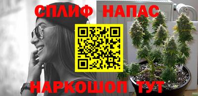 мефедрон Кингисепп