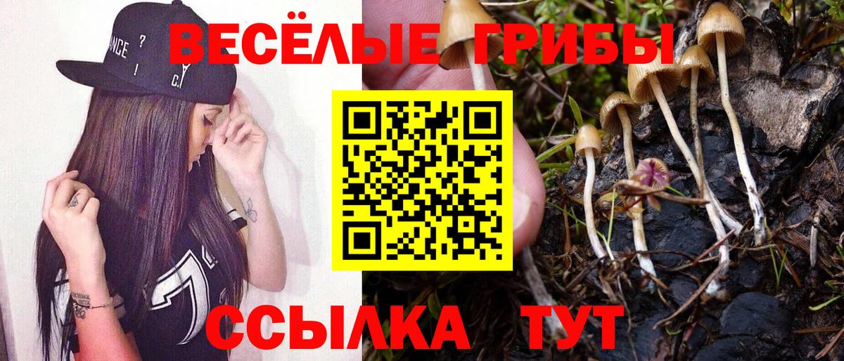 Галлюциногенные грибы Magic Shrooms Кинель